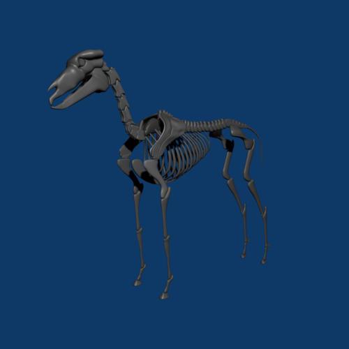 Horse skeleton- Rigged preview image